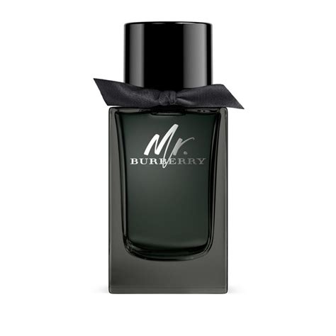 burberry parfum homme|burberry parfums pour homme.